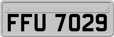 FFU7029