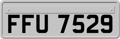 FFU7529