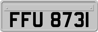FFU8731