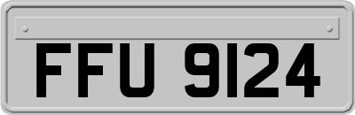 FFU9124