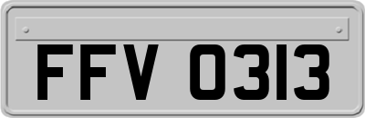 FFV0313