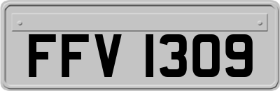 FFV1309