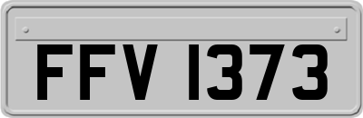 FFV1373