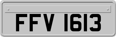 FFV1613