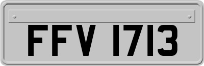 FFV1713