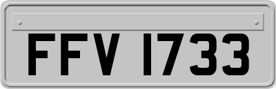 FFV1733