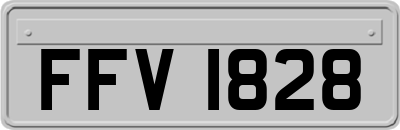 FFV1828