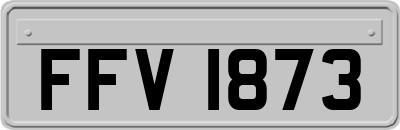 FFV1873