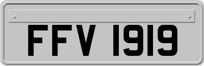 FFV1919