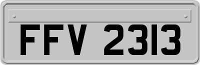 FFV2313