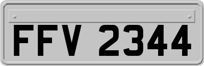 FFV2344