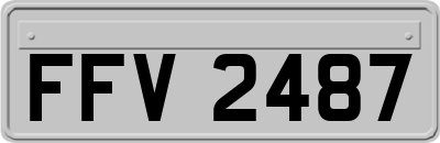 FFV2487