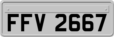 FFV2667