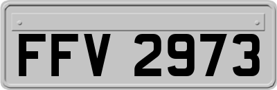 FFV2973