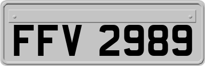 FFV2989
