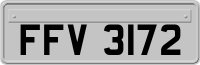 FFV3172