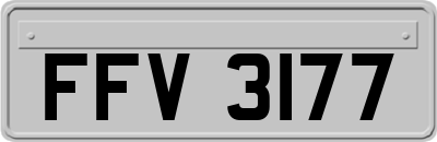 FFV3177