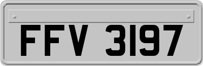 FFV3197