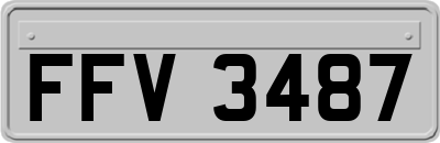 FFV3487