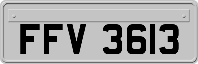 FFV3613
