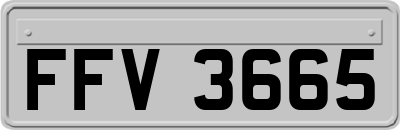 FFV3665