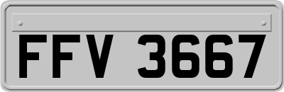 FFV3667