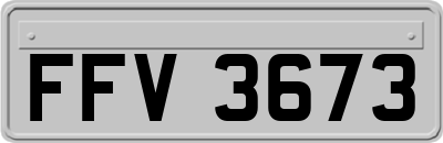 FFV3673