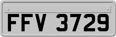 FFV3729
