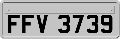 FFV3739