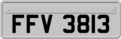 FFV3813