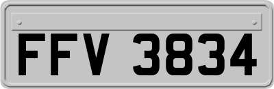 FFV3834
