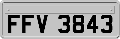 FFV3843