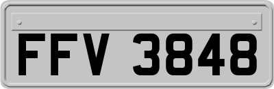 FFV3848