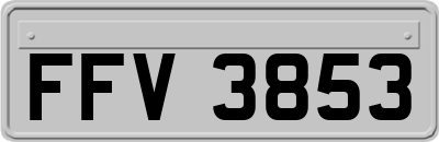 FFV3853