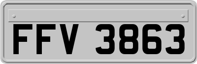 FFV3863