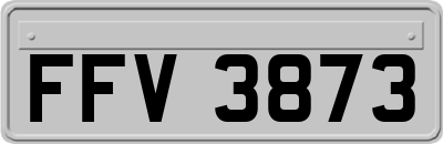FFV3873