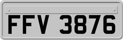 FFV3876