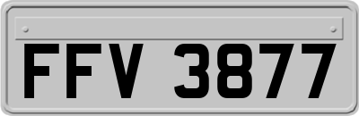 FFV3877