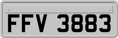 FFV3883