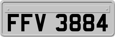 FFV3884