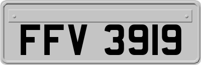 FFV3919
