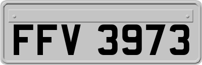 FFV3973