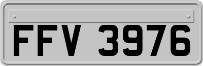FFV3976