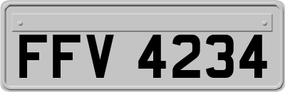 FFV4234