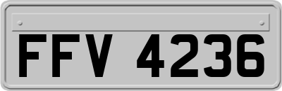 FFV4236