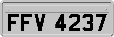 FFV4237