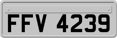 FFV4239