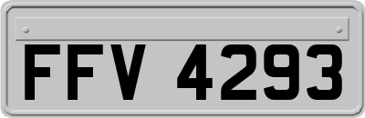 FFV4293