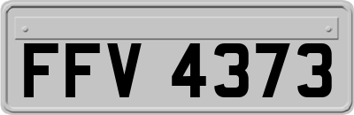 FFV4373
