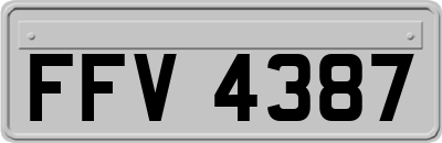 FFV4387